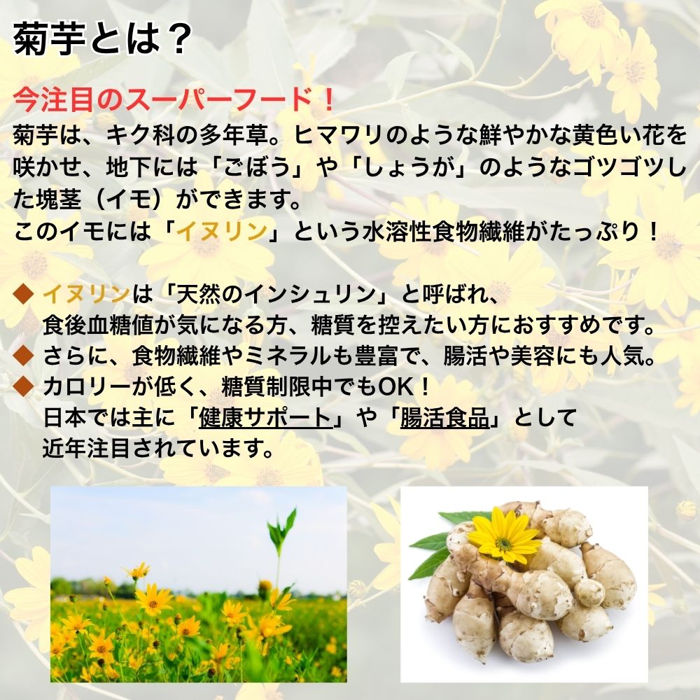 きくいもタブレット　菊芋とは